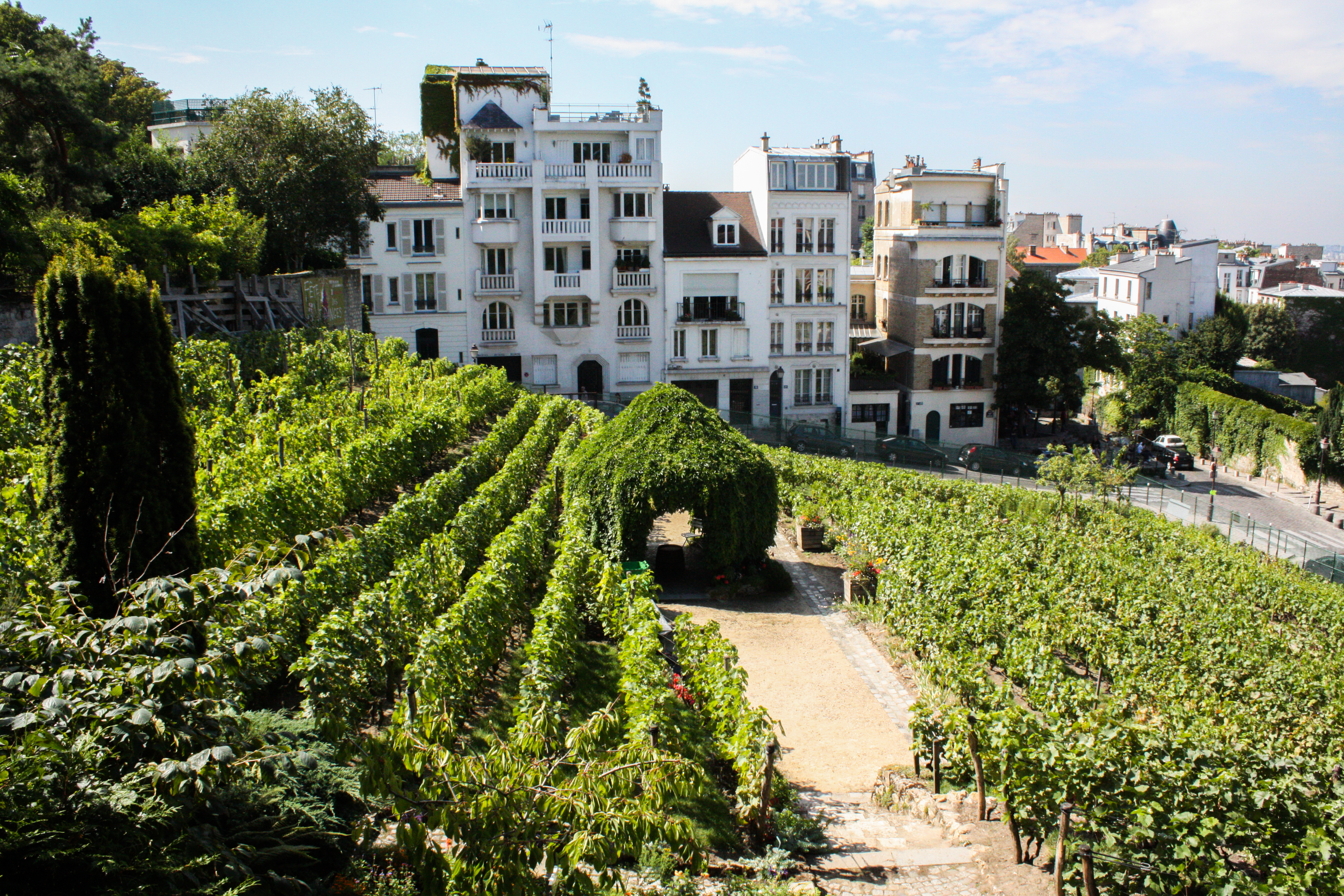 Montmartre 2